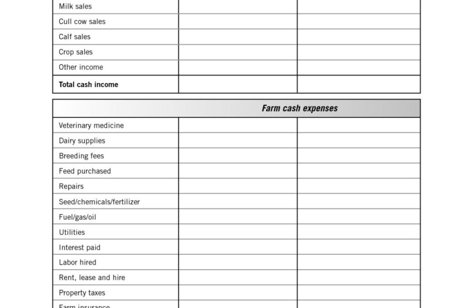 Income Statement Worksheets