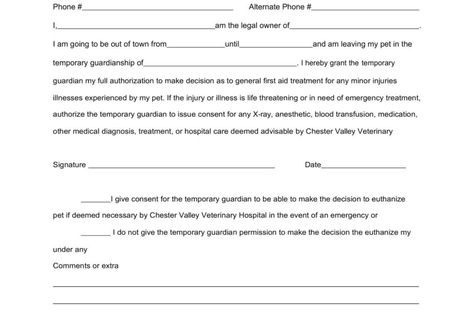 Notarized Printable Temporary Guardianship Agreement Form Printable