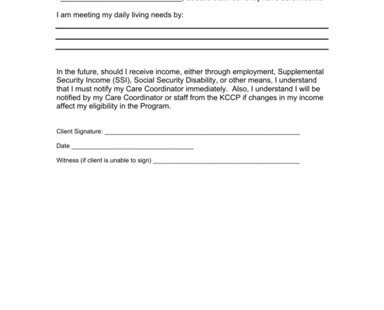 Printable Proof Of No Income Form Printable Forms Free Online