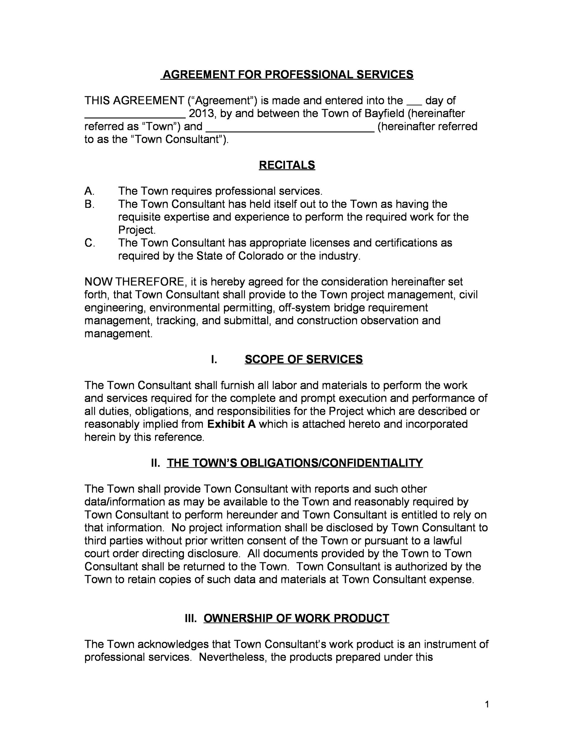 Professional Agreement Template